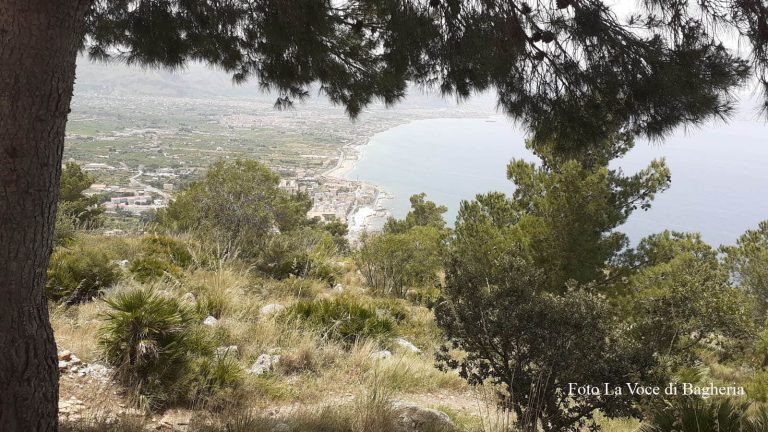monte catalfano