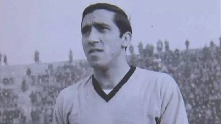 tanino troja