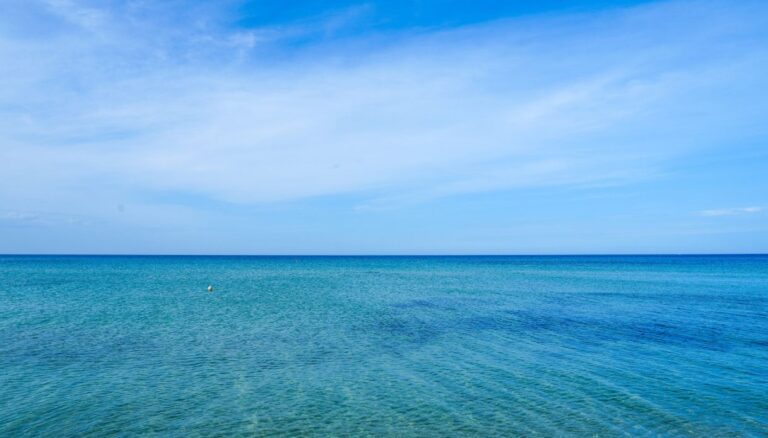 mare