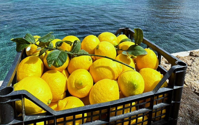 limoni