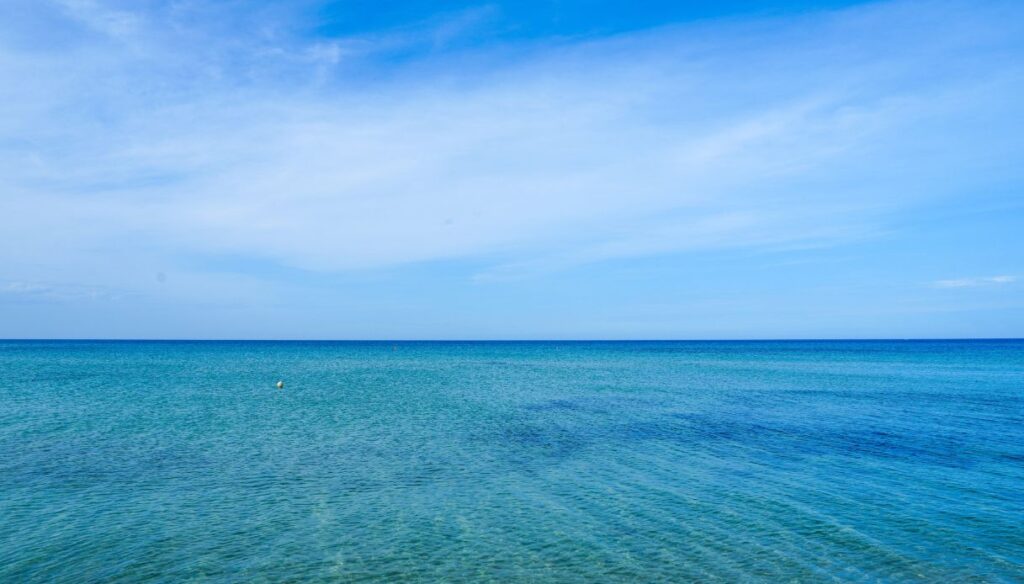 mare x